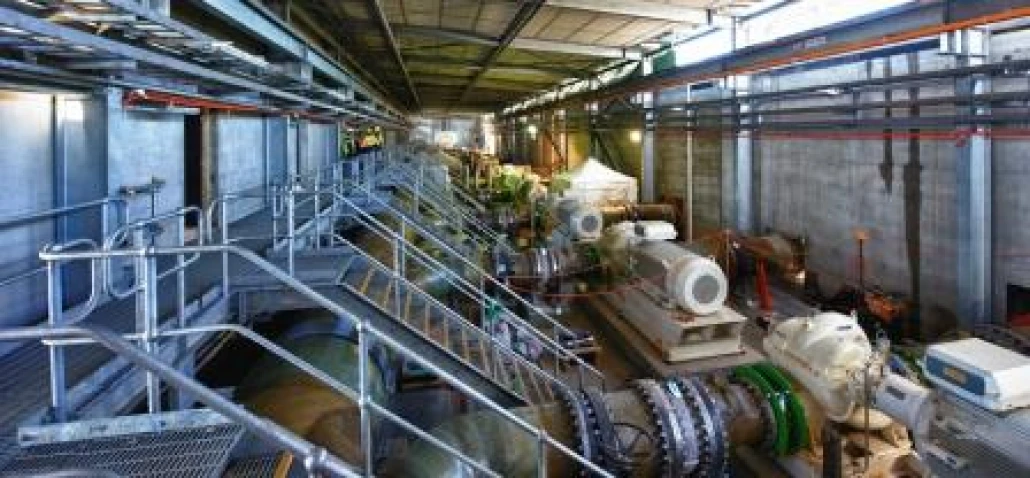 A1315 DMPF pumps