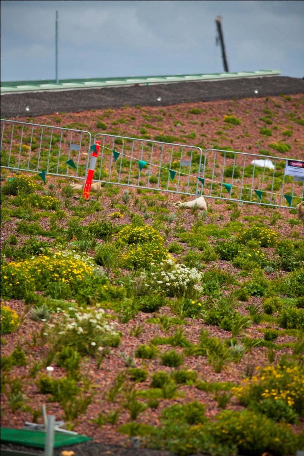 RO Green Roof