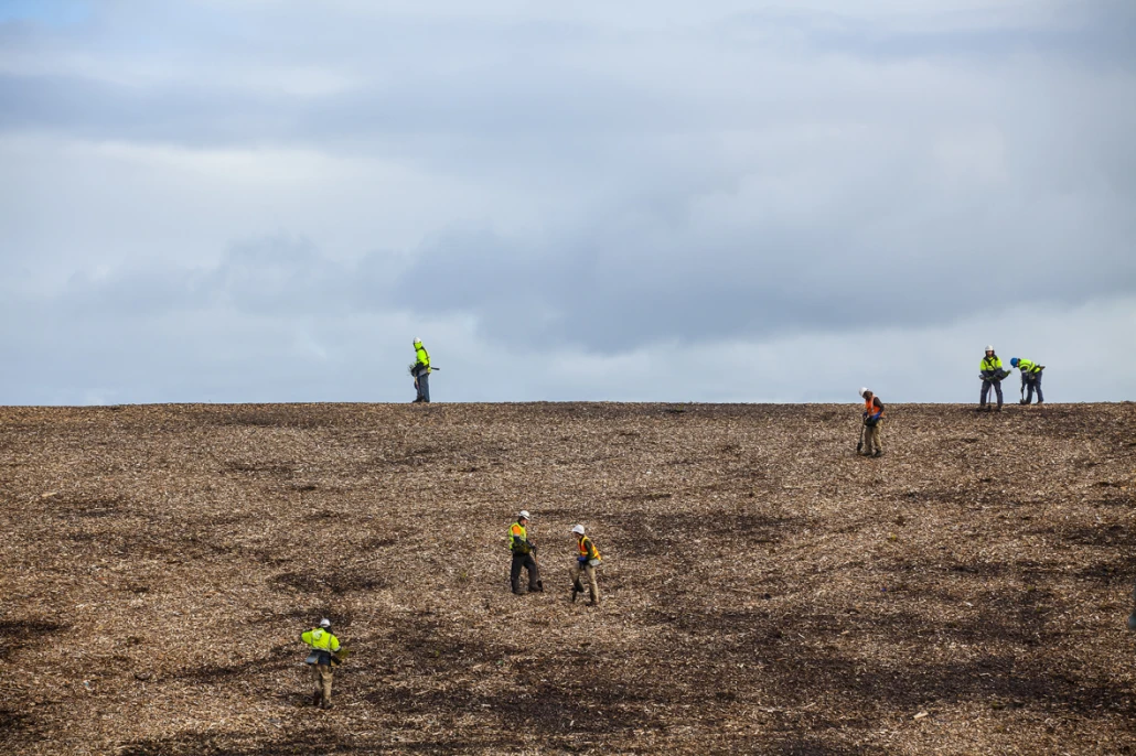 TDJV-PHOT-HPCM-B7616 Landscaping works on Dune 5