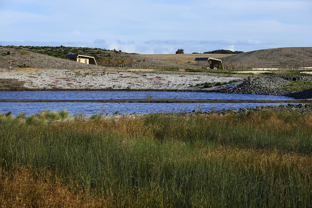 wetland 2